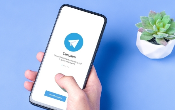 Telegram 怎么不显示在线